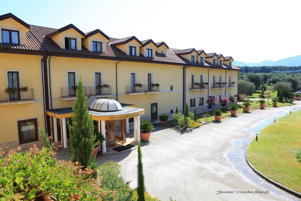 Uliveto Principessa Park Hotel Taurianova Exterior photo