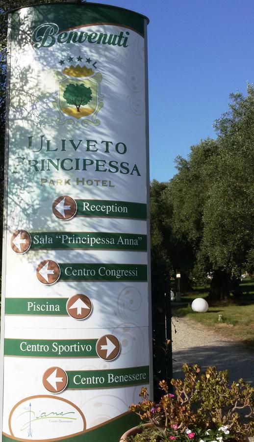 Uliveto Principessa Park Hotel Taurianova Exterior photo